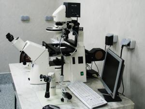 microscope3.jpg