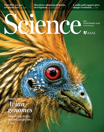 science-cover_page_birds.JPG