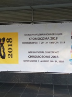 Конференция "Хромосома - 2018" 20-24.08.2018
