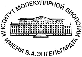 IMB_logo.jpg