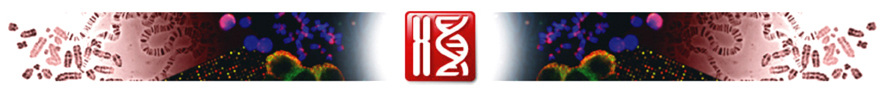 front_logo4_1.jpg