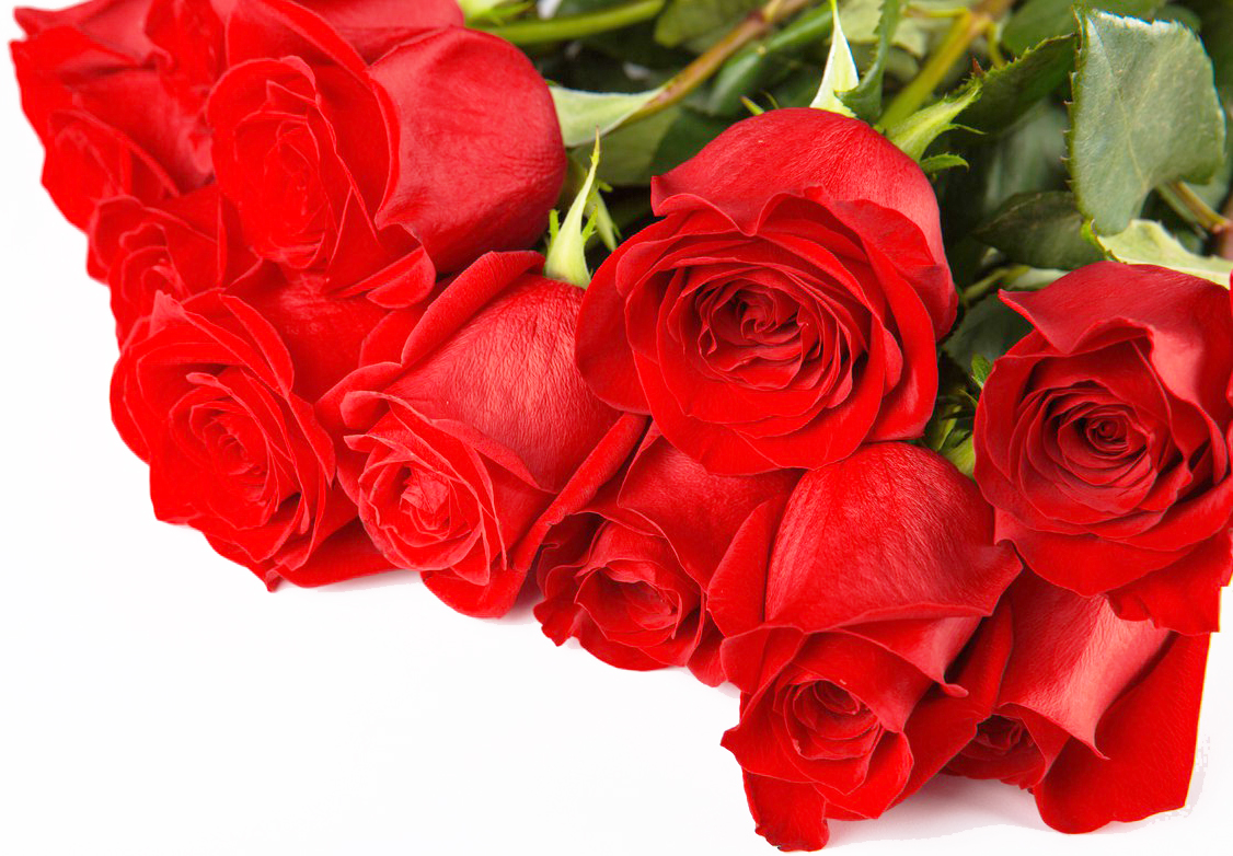red_roses.jpg