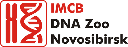 IMCB_DNA_Zoo.JPG