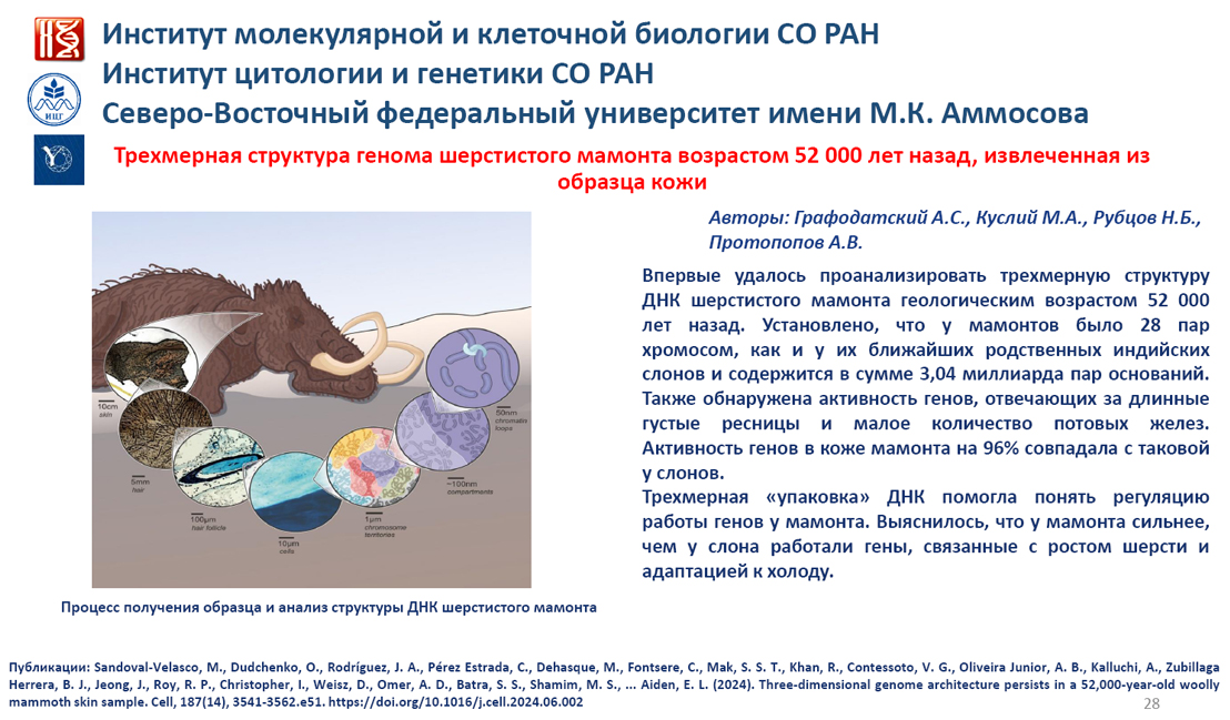 SO_RAN_20.03.2025.jpg
