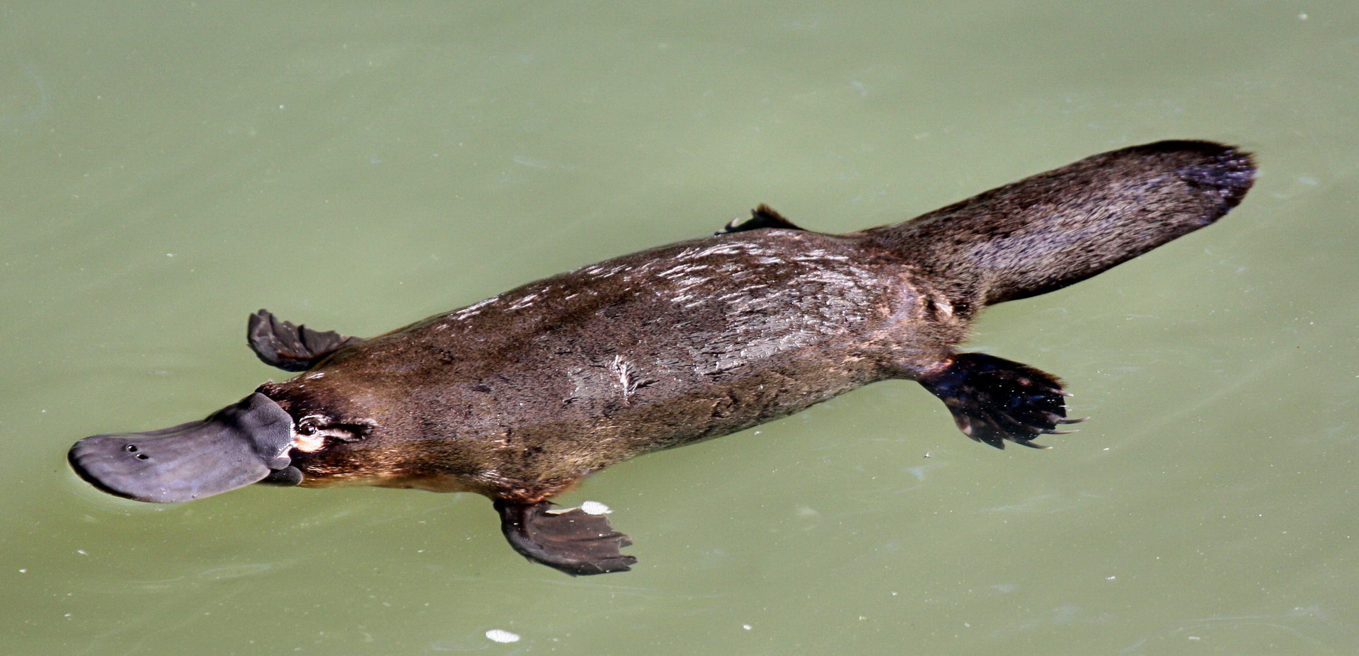 zoo_2016_utkonos.jpg