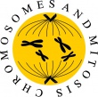 mini_conference_logo.jpg