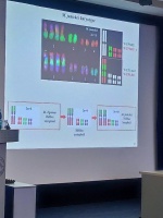 Хромосома 2023. 05-10.09.2023