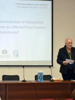 Maurizio Gatti (Sapienza University, Rome, Italy)